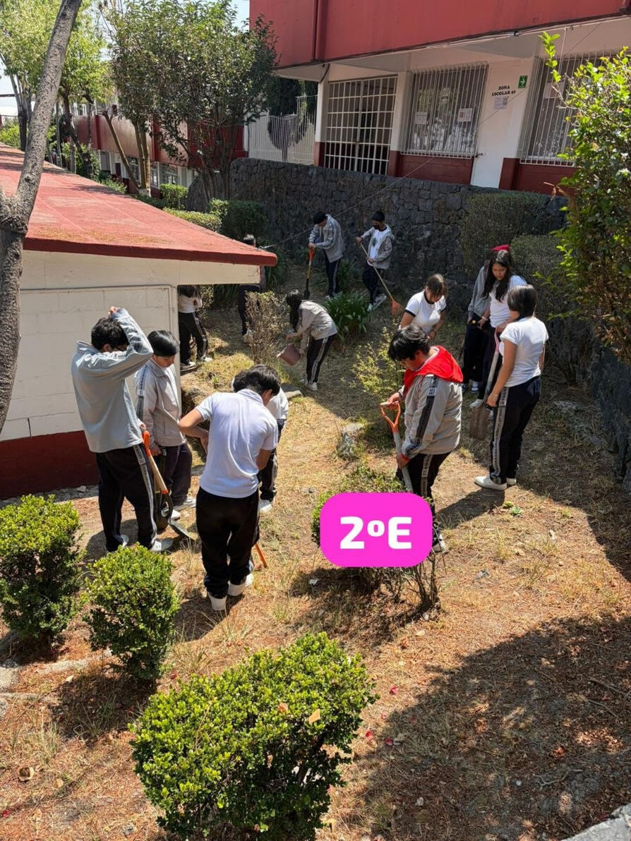 Conservación de áreas verdes.