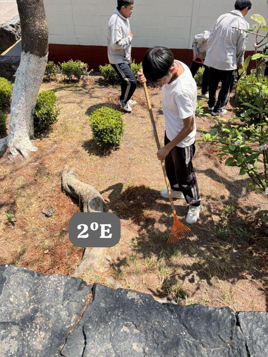 Conservación de áreas verdes.